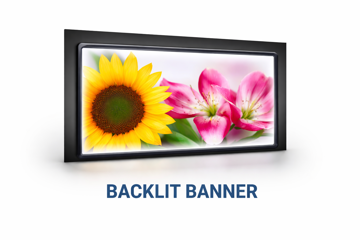 Backlit Banner - 15oz. (Ultraflex Vulite Pro)