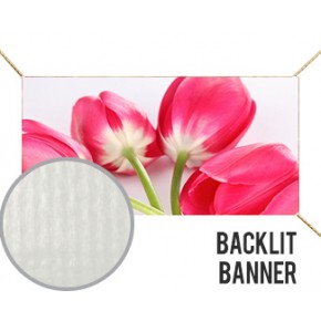 Backlit Banner