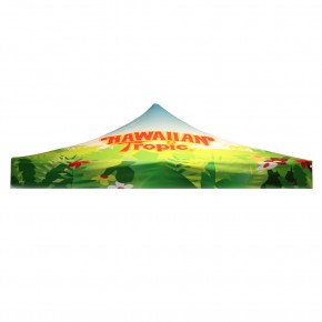 Canopy Graphic Only for Classic Tent 10 ft.